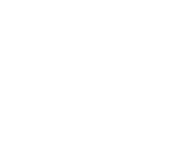 Agnet 75 Logo